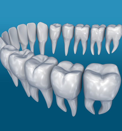 BeautifulSmiles-p_7 Beautiful Smiles of Long Island- Bone Grafts